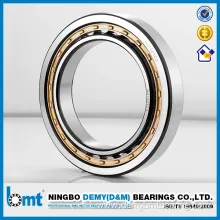 Cylindrical Roller Bearing Nu1021c3